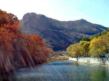 新澳天天开奖资料大全旅游团，卡莱莎的魂萦坠饰